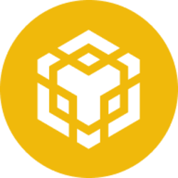 BNB Smart Chain